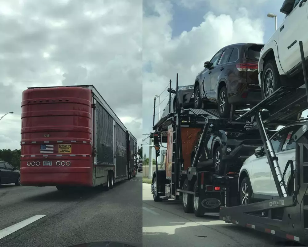 Open vs. Enclosed Car Transport